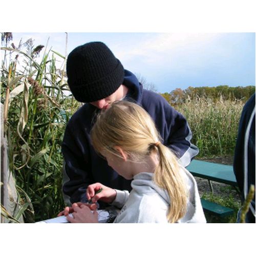 CornMaze2005 025.jpg